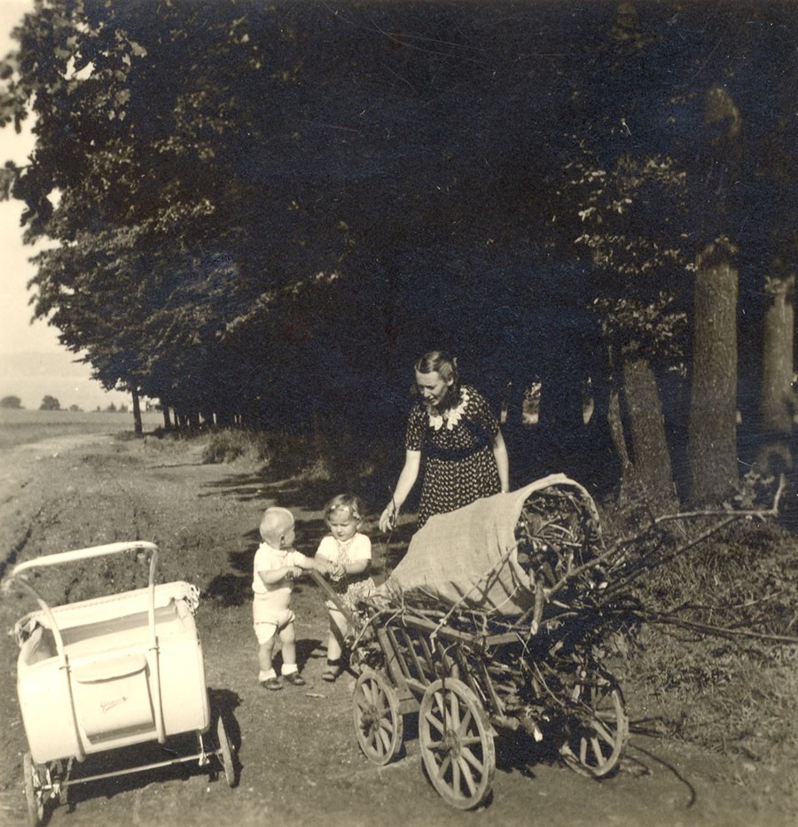 Gathering Firewood with the Children